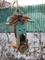 "Pomagamy ptakom przetrwać zimę…", Anna Wierzbicka