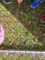 W Instytucie Meteorologii i Gospodarki Wodnej w Legionowie, p. Marta Zawada