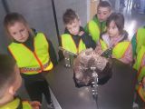 "Ziemia, Księżyc i Słońce", Katarzyna Papuda