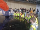 "Ziemia, Księżyc i Słońce", Katarzyna Papuda