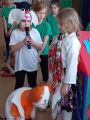 "Kozucha Kłamczucha", Wiesława Twardowska