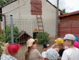 Grupa V, Wiesława Twardowska