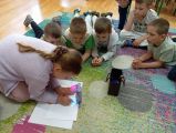 "Projektor do rysowania", Wiesława Twardowska