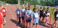 19. Mistrzostwa w Biegach Przedszkolaków, 