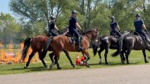 Dzień Otwarty w Centrum Szkolenia Policji, Anna Wierzbicka