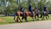 Dzień Otwarty w Centrum Szkolenia Policji, Anna Wierzbicka