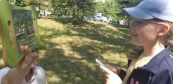Grupa V, 