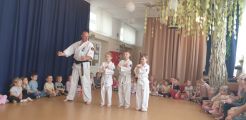 "Pokaz karate", 