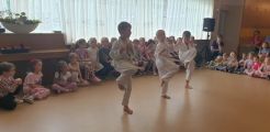 "Pokaz karate", 