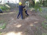 Grupa IV, 