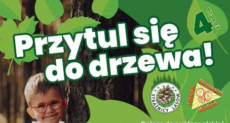 Więcej o: "Przytul się do drzewa!"