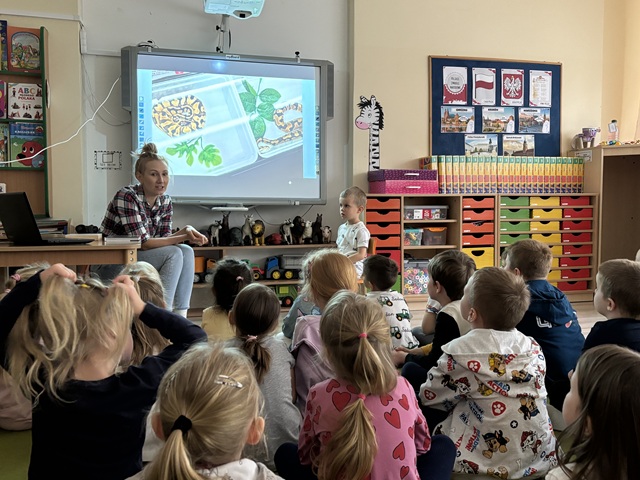 Więcej o: "Pająki"