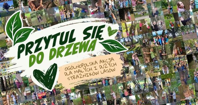 Więcej o: "Przytul się do drzewa"